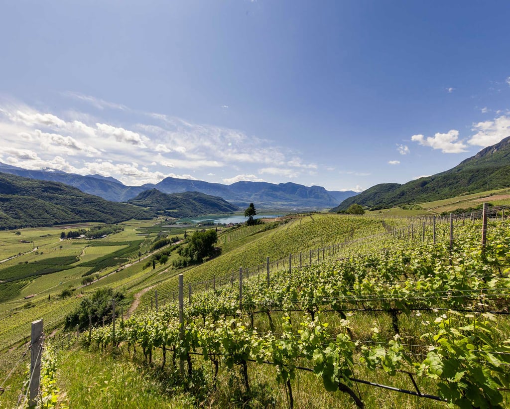 SÜDTIROL - klein aber fein ...