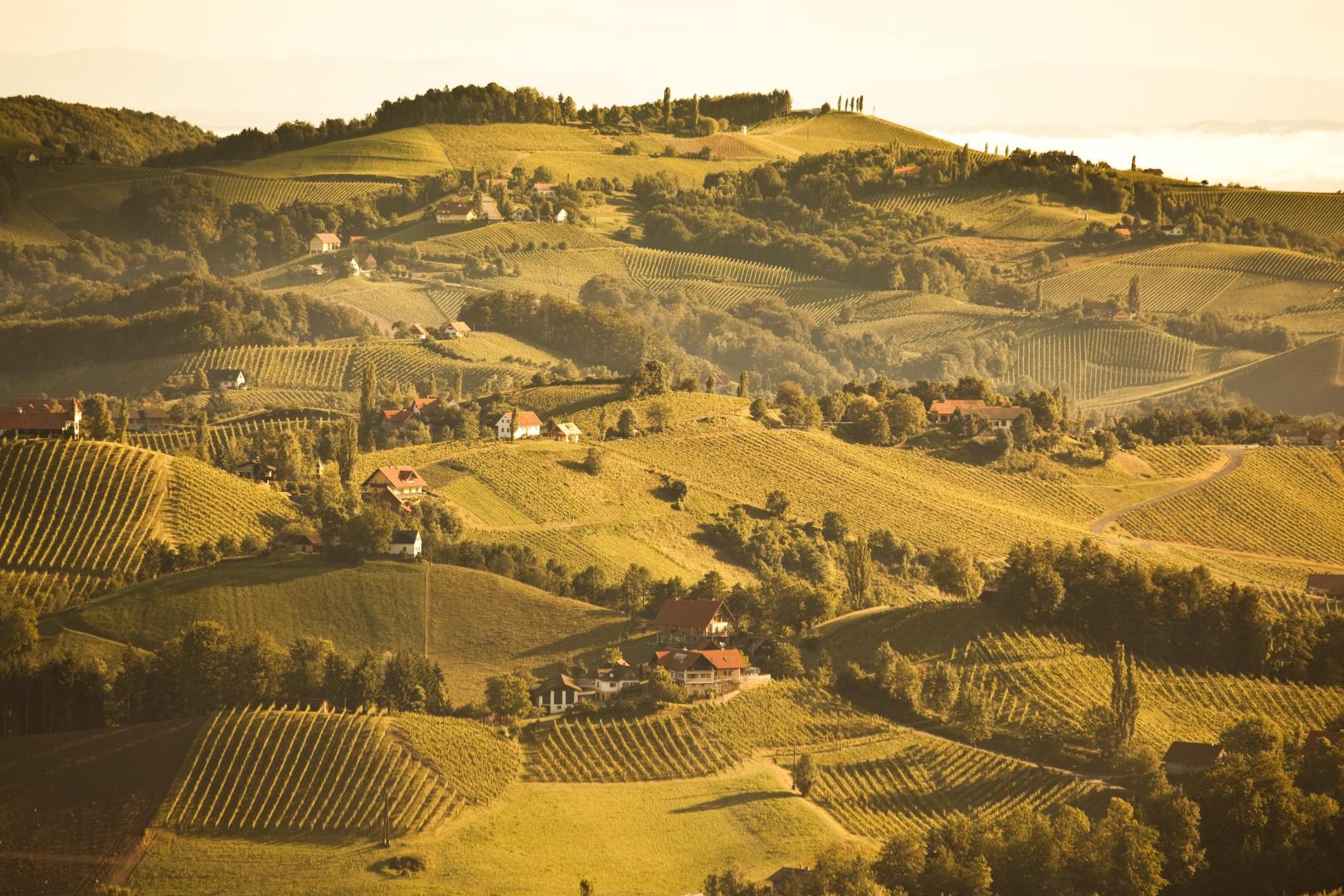 Südsteiermark