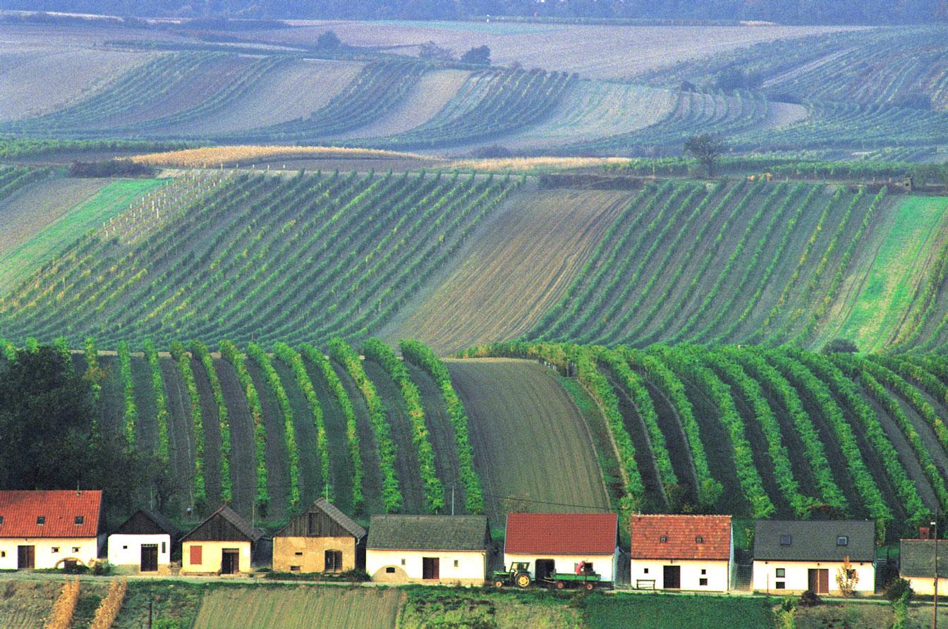 Weinviertel DAC Weinviertel DAC