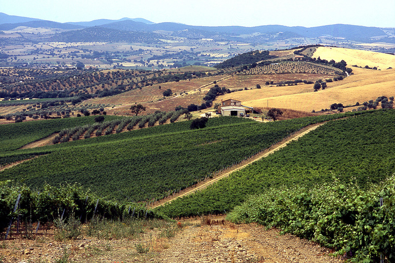 Rocca delle Macìe