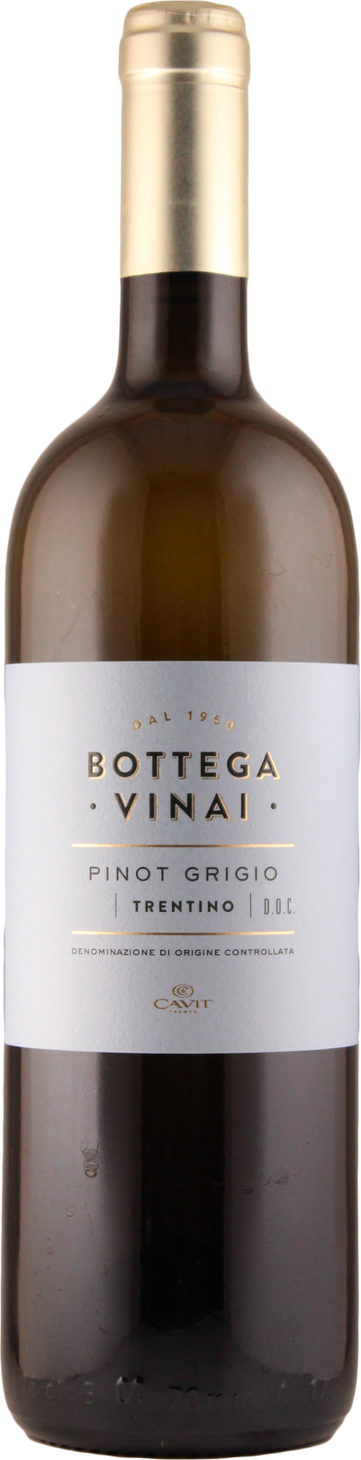 Bottega Vinai Pinot Grigio