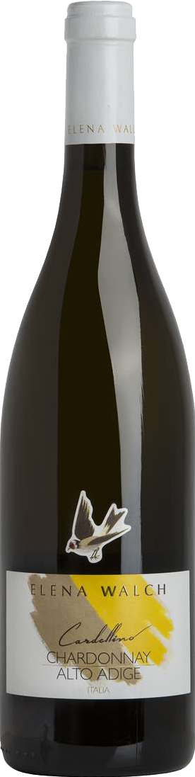 Cardellino Chardonnay Cardellino Chardonnay